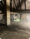 Putzaktion-NOE_Buerger-K