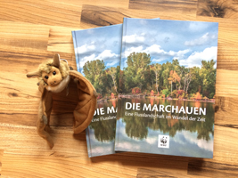 Schloss Marchegg Gewinne