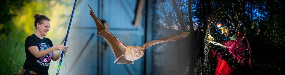 Fotos © Christian Giese