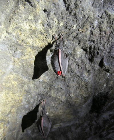 Wiedersehen nach 19 Jahren und 8 Monaten