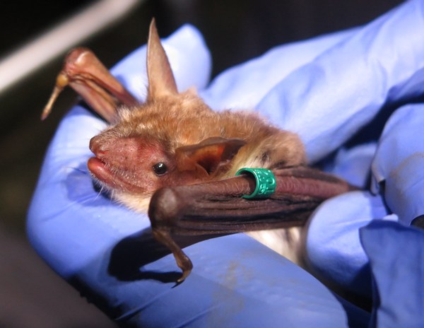 Foto © Guido Reiter