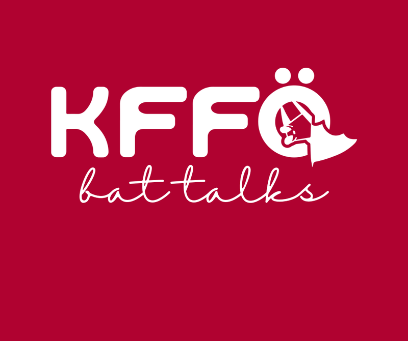 Spenden KFFÖ Bat Talks