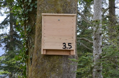 Spende für Ersatzquartier-Projekt